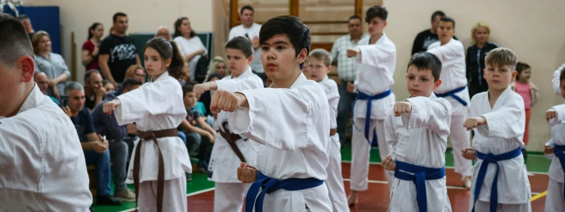 Tízéves a Szatmár Megyei Karate Egyesület